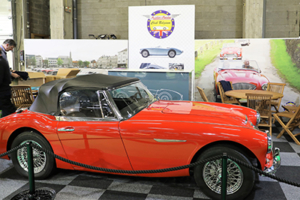 Austin Healey Club Belgium