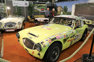 Healey Club Flanders