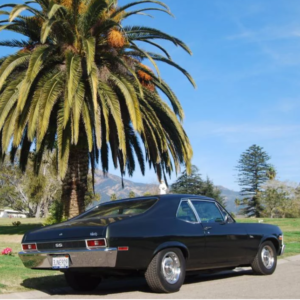 California Dream